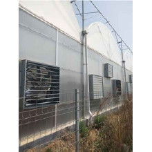 玻璃鋼無動(dòng)力風(fēng)機(jī)價(jià)格 玻璃鋼無動(dòng)力風(fēng)機(jī)批發(fā) 玻璃鋼無動(dòng)力風(fēng)機(jī)廠家 