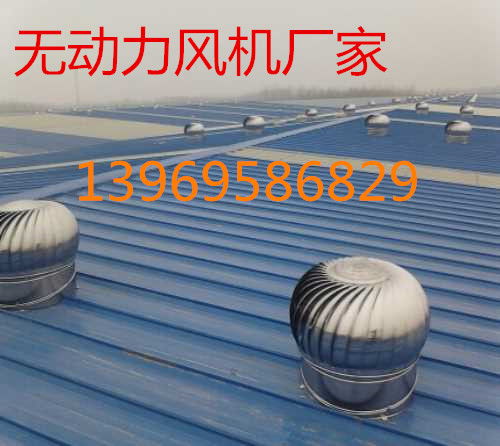 無(wú)動(dòng)力風(fēng)機(jī)風(fēng)球報(bào)價(jià) 廠家