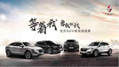 集團全面發力，寶沃汽車銷售進入高速良性發展階段